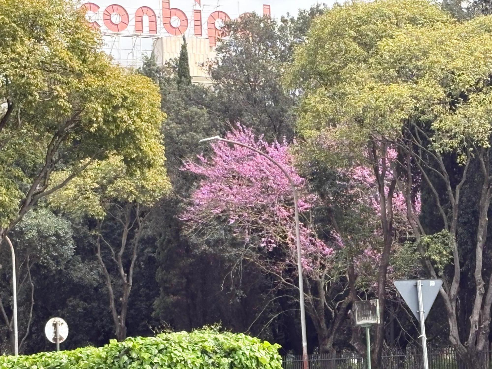 San Paolo Luxury Apartamento *